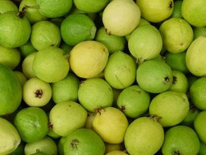 Guayaba Verde kilo